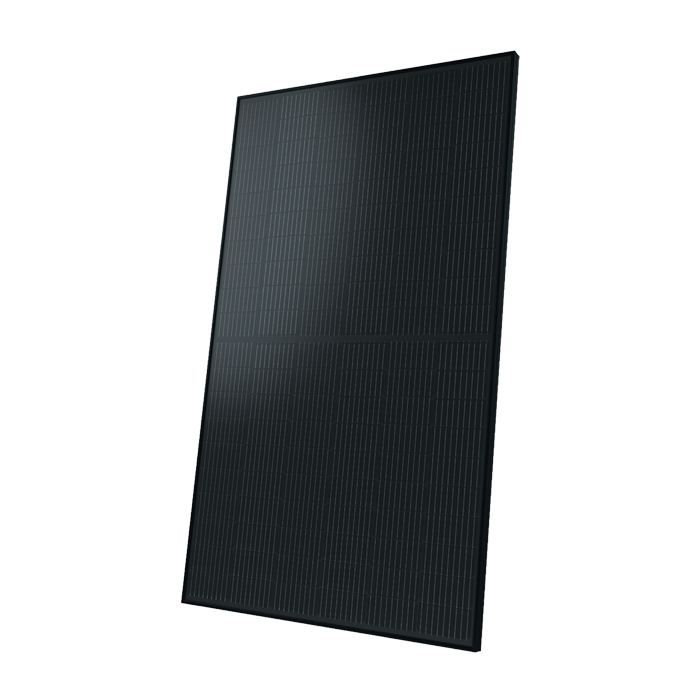 solarwatt panel